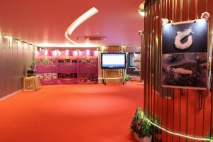 25690117-exhibition-031