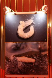 25690117-exhibition-042