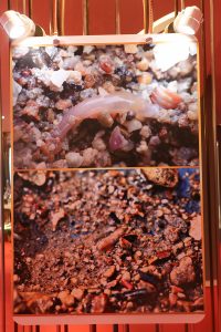 25690117-exhibition-043