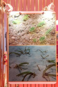 25690117-exhibition-045