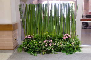 25611011_BUULibrary_Photo001 