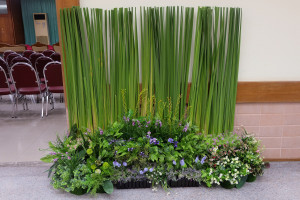 25611011_BUULibrary_Photo003 