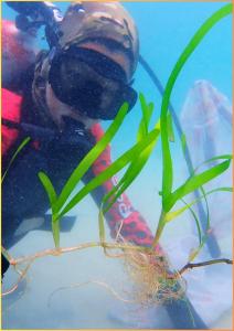 20250318-exhibitiont-34