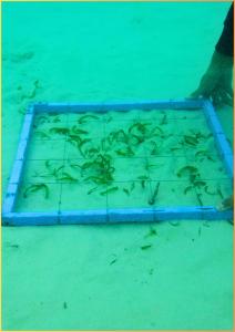 20250318-exhibitiont-35