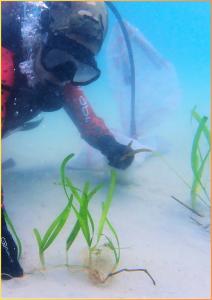 20250318-exhibitiont-37