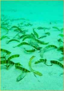 20250318-exhibitiont-38