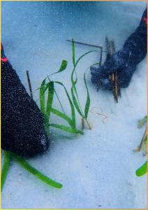 20250318-exhibitiont-39