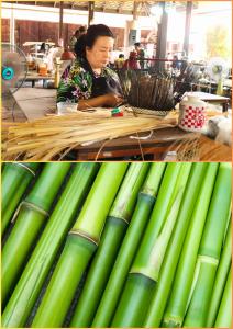 20250318-exhibitiont-41