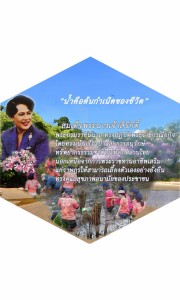 p14_treeforest_12aug2557