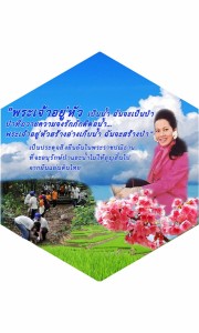 p15_treeforest_12aug2557