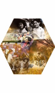 p16_treehealty_12aug2557