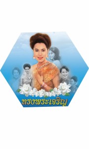 p17_treehealty_12aug2557