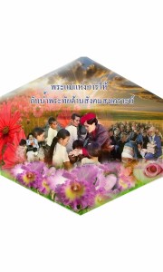 p20_treehealty_12aug2557