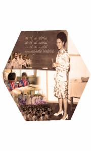 p4_treestudy_12aug2557