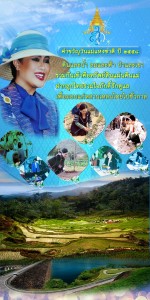 บอร์ด27 122x225             