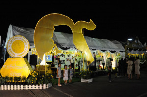 BUULib2556-10- P0221 