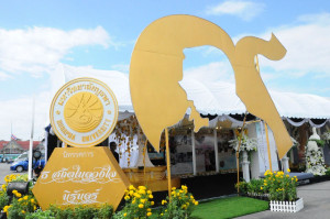 BUULib2556-10- P0294 